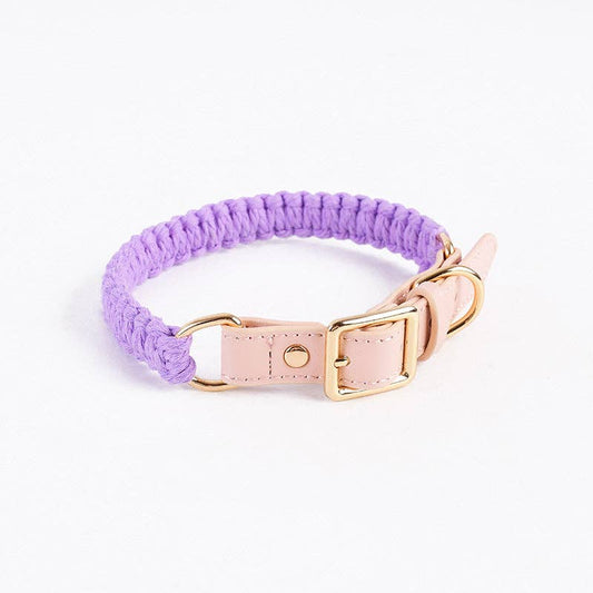 Purple Loofie Dog Collar