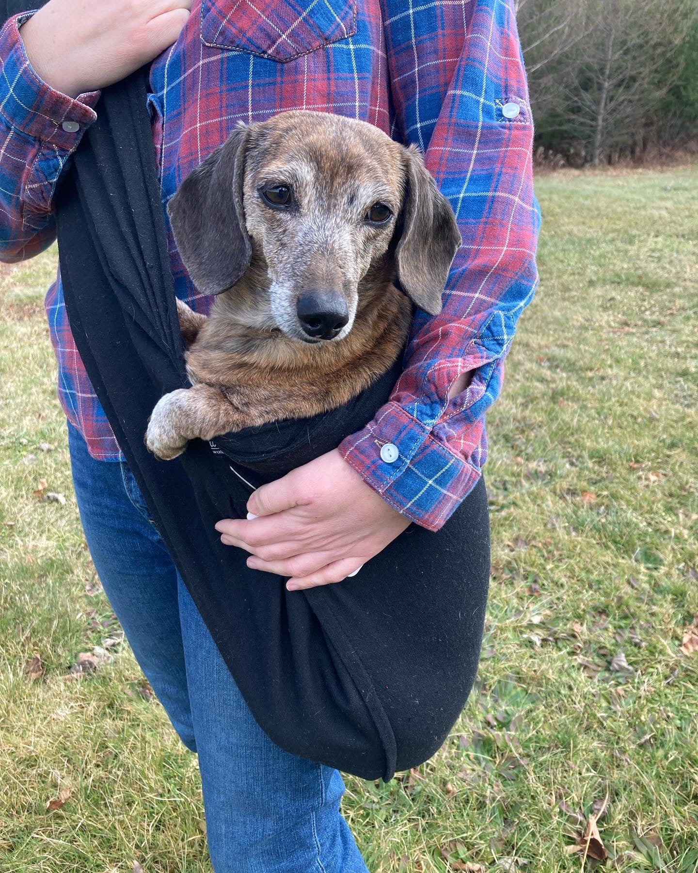 Pet Sling Carrier