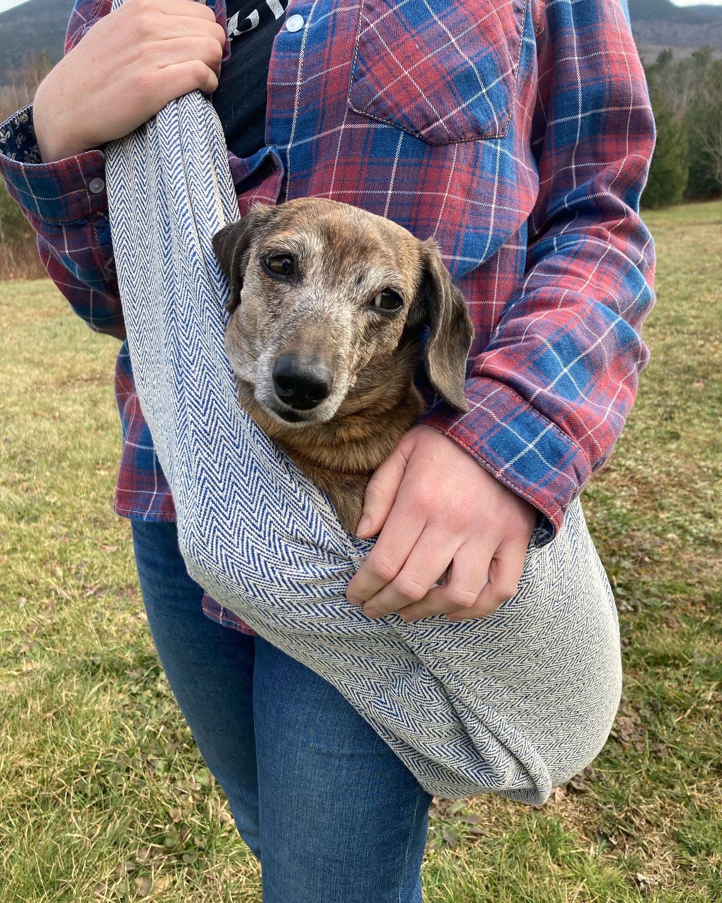 Pet Sling Carrier
