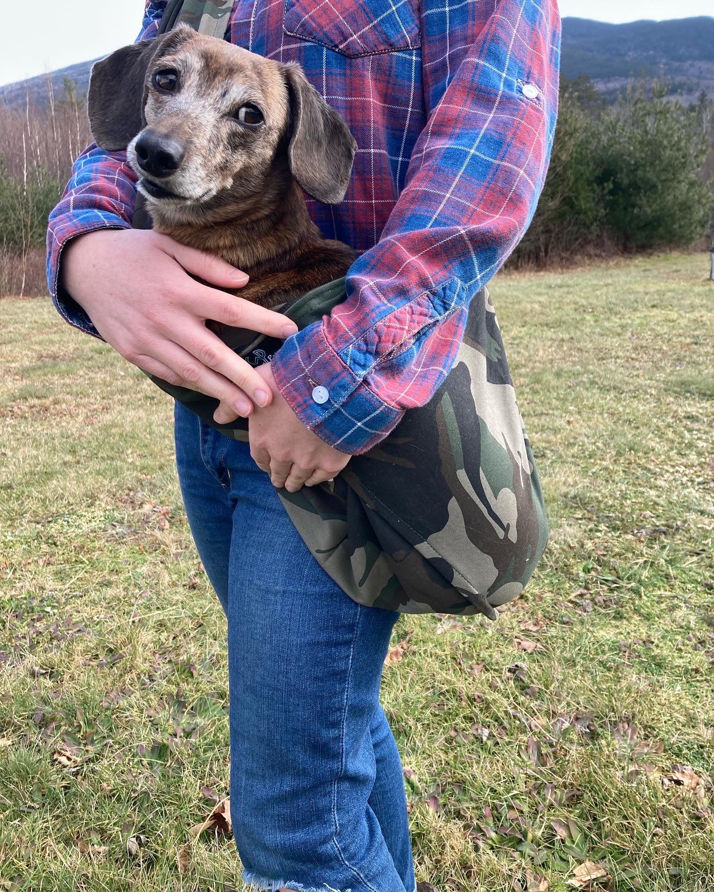 Pet Sling Carrier