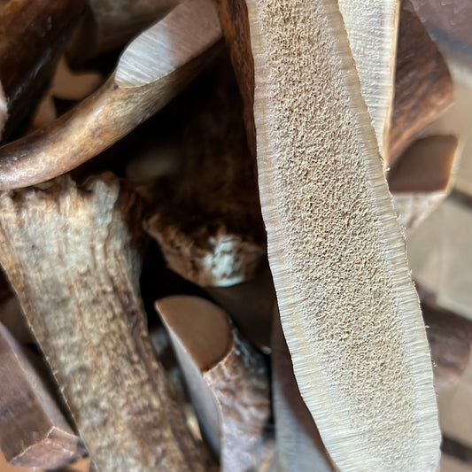 Uncle Chainsaw’s Moose Antler Chew