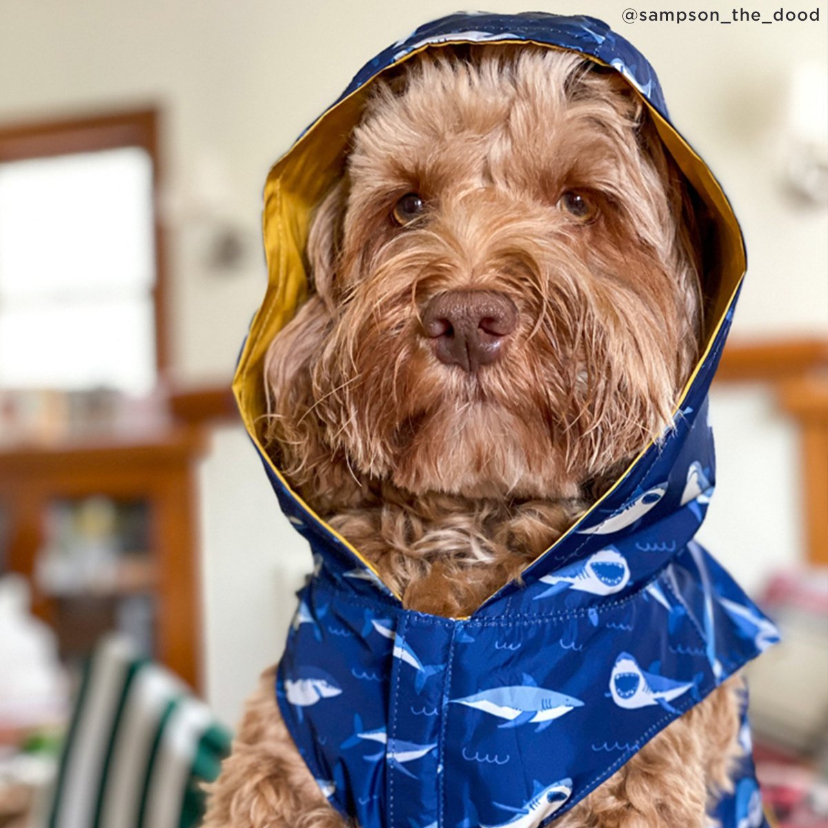 Shark Attack Reversible Dog Raincoat