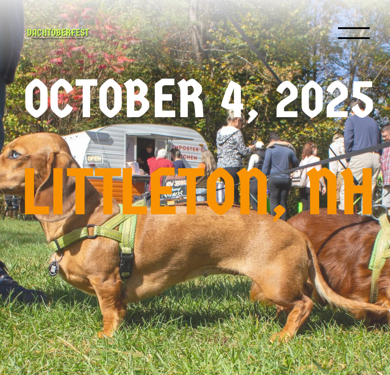 Dachtoberfest