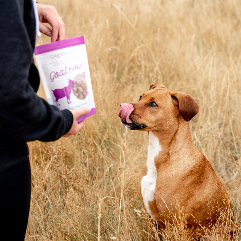 Green Juju Goat Purple Whole Food Bites For Dogs & Cats - 3 oz