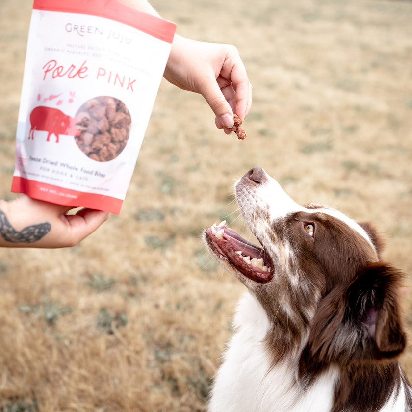 Green Juju Pork Pink Whole Food Bites For Dogs & Cats - 3 oz