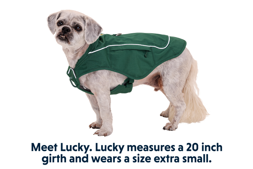 Ruffwear Overcoat Fuse™ Vest - Evergreen