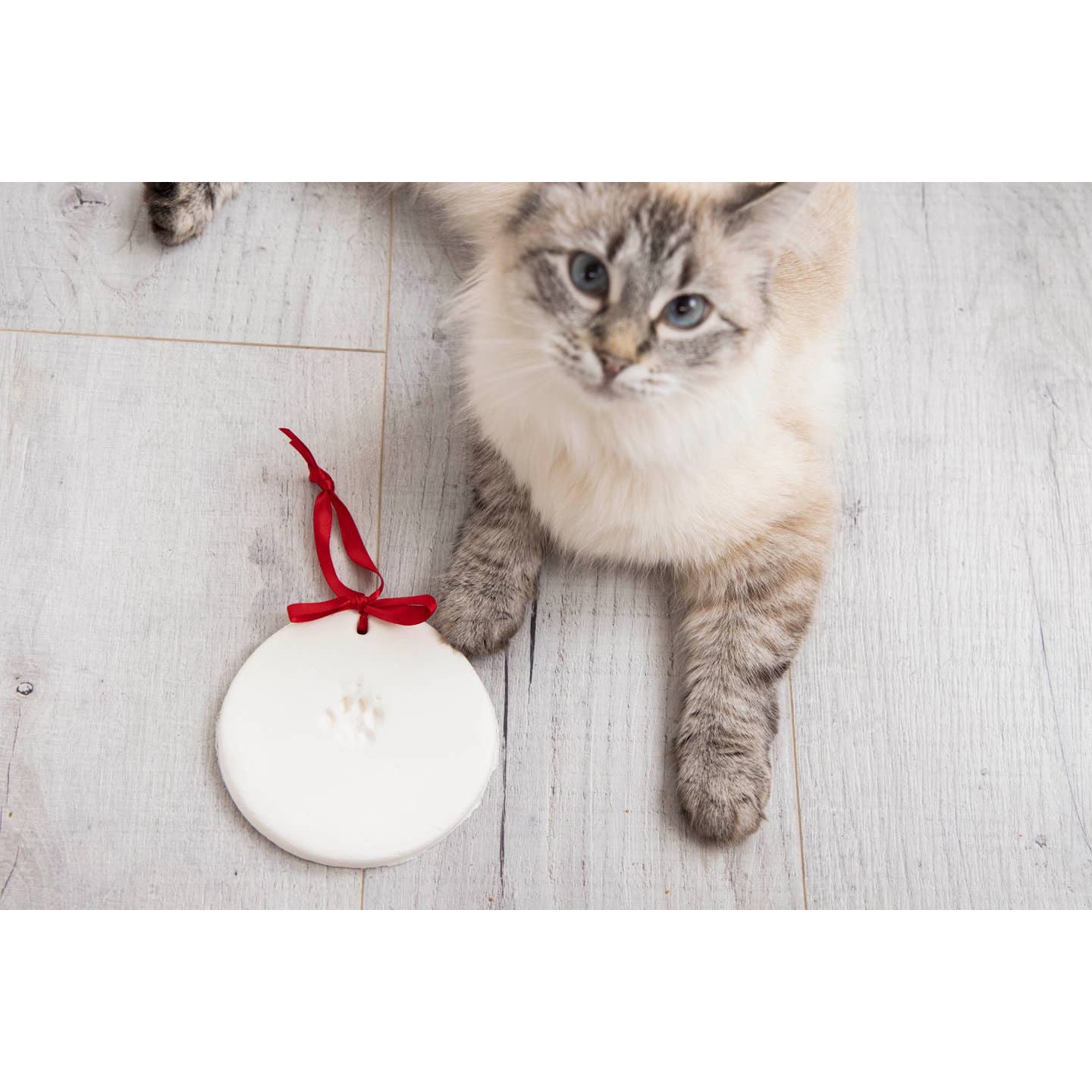 Holiday Pawprints Christmas Ornament Kit - 2 Pack