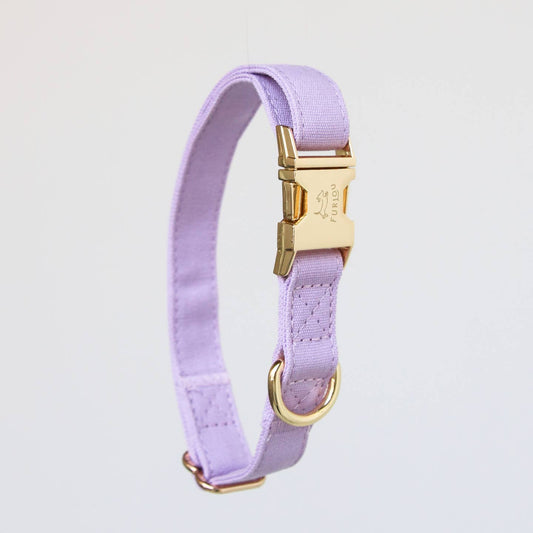 Furlou Cotton Canvas Dog Collar - Lavender