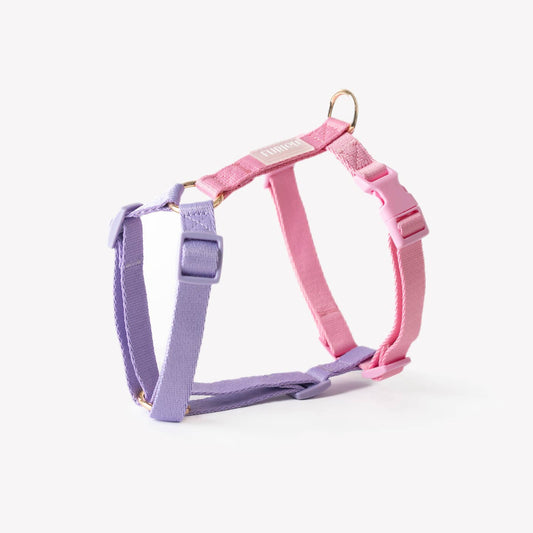 Lavender + Pink Strap H-Style Harness