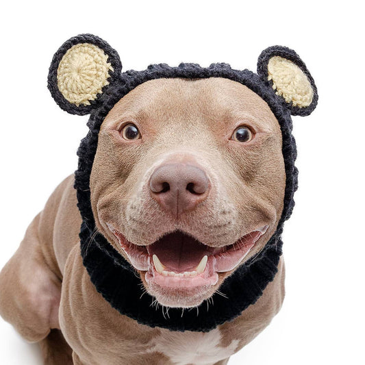Black Bear Dog Snood