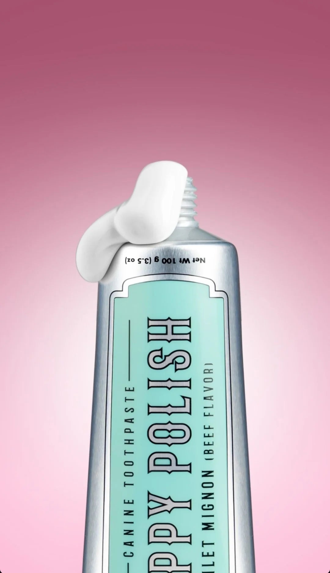 Puppy Polish Toothpaste - Beef