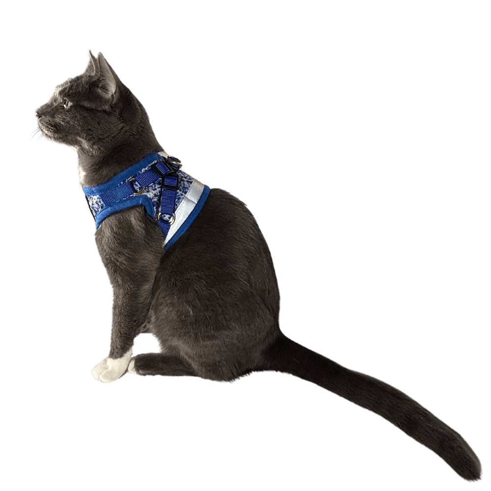 "The Groovy Cat" Tie Dye Limited Edition Harness & Leash Set