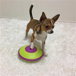 Nina Ottosson Dog Treat Maze Interactive Treat Dog Puzzle Toy Level 2