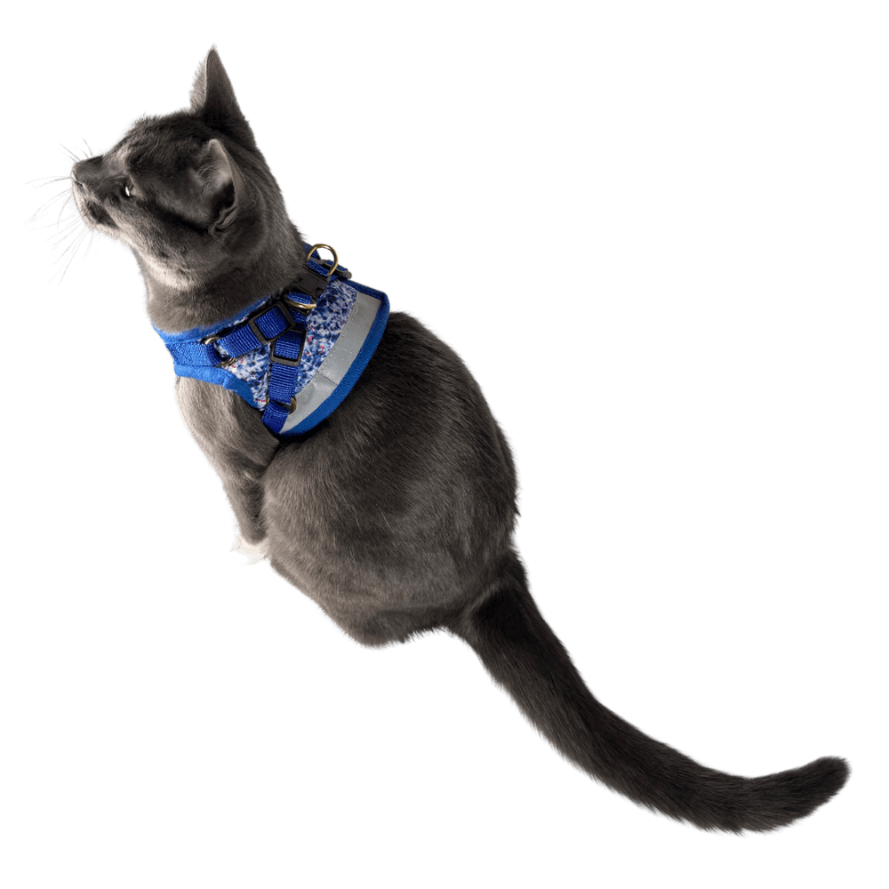 "The Groovy Cat" Tie Dye Limited Edition Harness & Leash Set