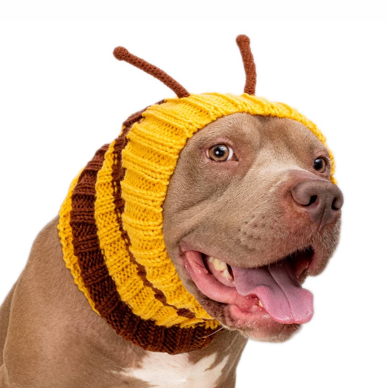 Bee Dog Snood