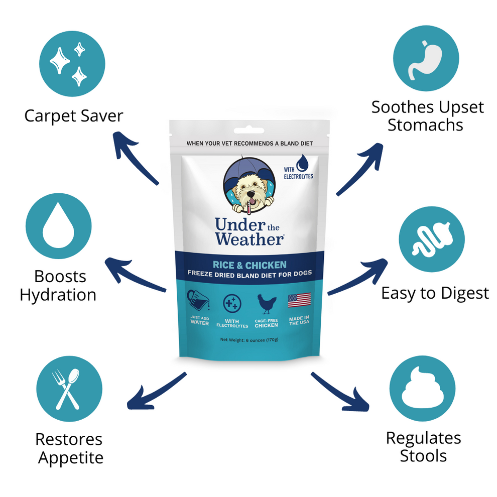 Under The Weather Chicken & Rice Bland Diet For Dogs