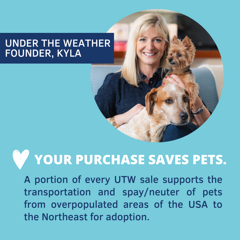 Under The Weather Chicken & Rice Bland Diet For Dogs