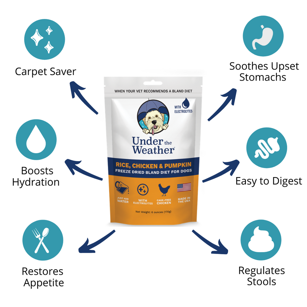 Under The Weather Chicken, Rice, & Pumpkin Bland Diet For Dogs