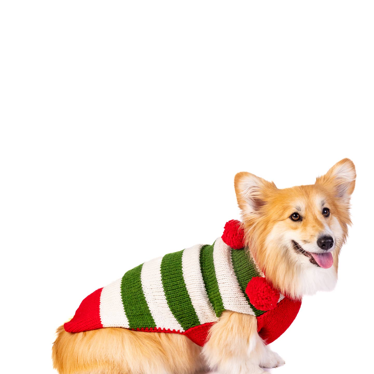 Christmas Elf Dog Sweater