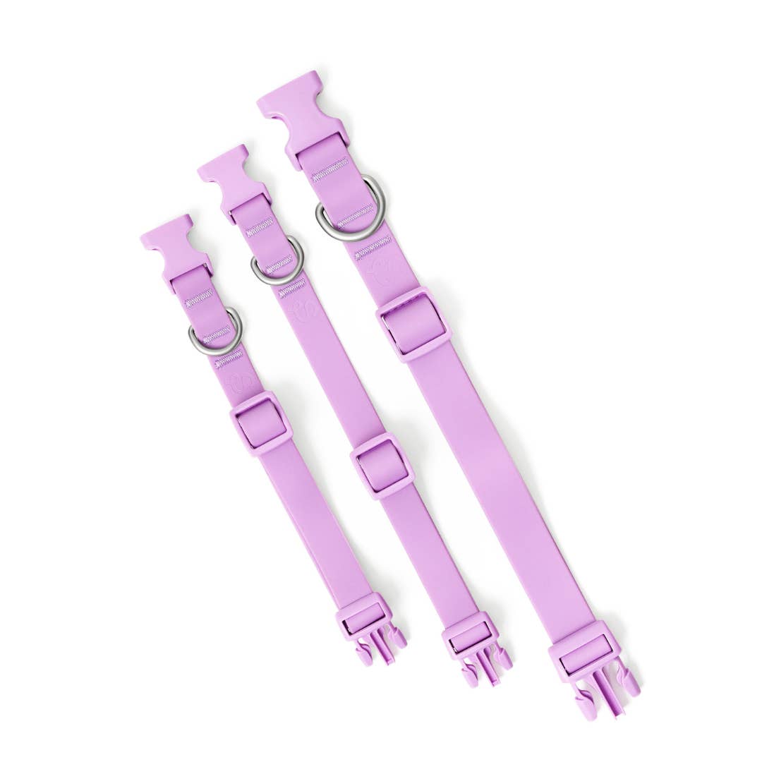 Springer Waterproof & Adjustable Dog Collar -  Lilac