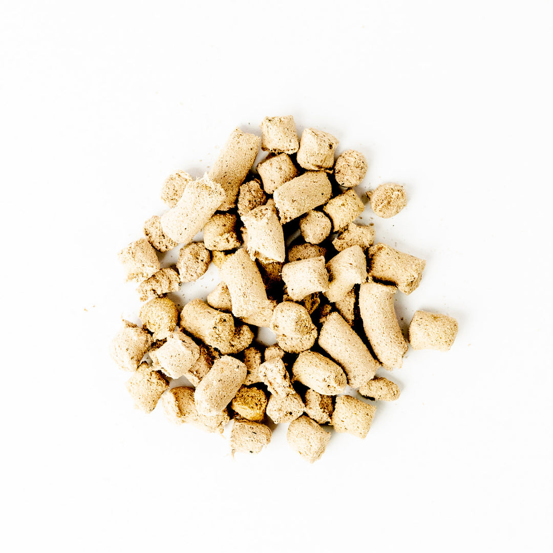Green Juju Salmon Blue Whole Food Bites For Dogs & Cats - 3 oz