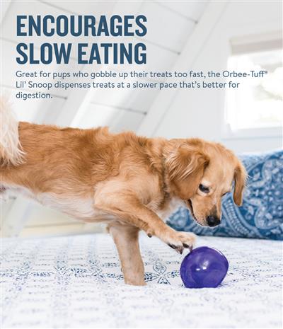 Planet Dog Orbee-Tuff Lil Snoop Interactive Treat-Dispensing Dog Toy - Purple