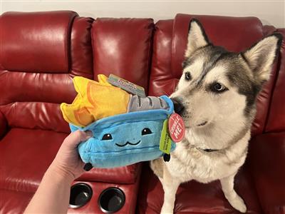 SnugArooz Dumpster Fire Plush Dog Toy 6.5"