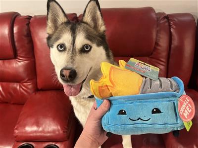 SnugArooz Dumpster Fire Plush Dog Toy 6.5"