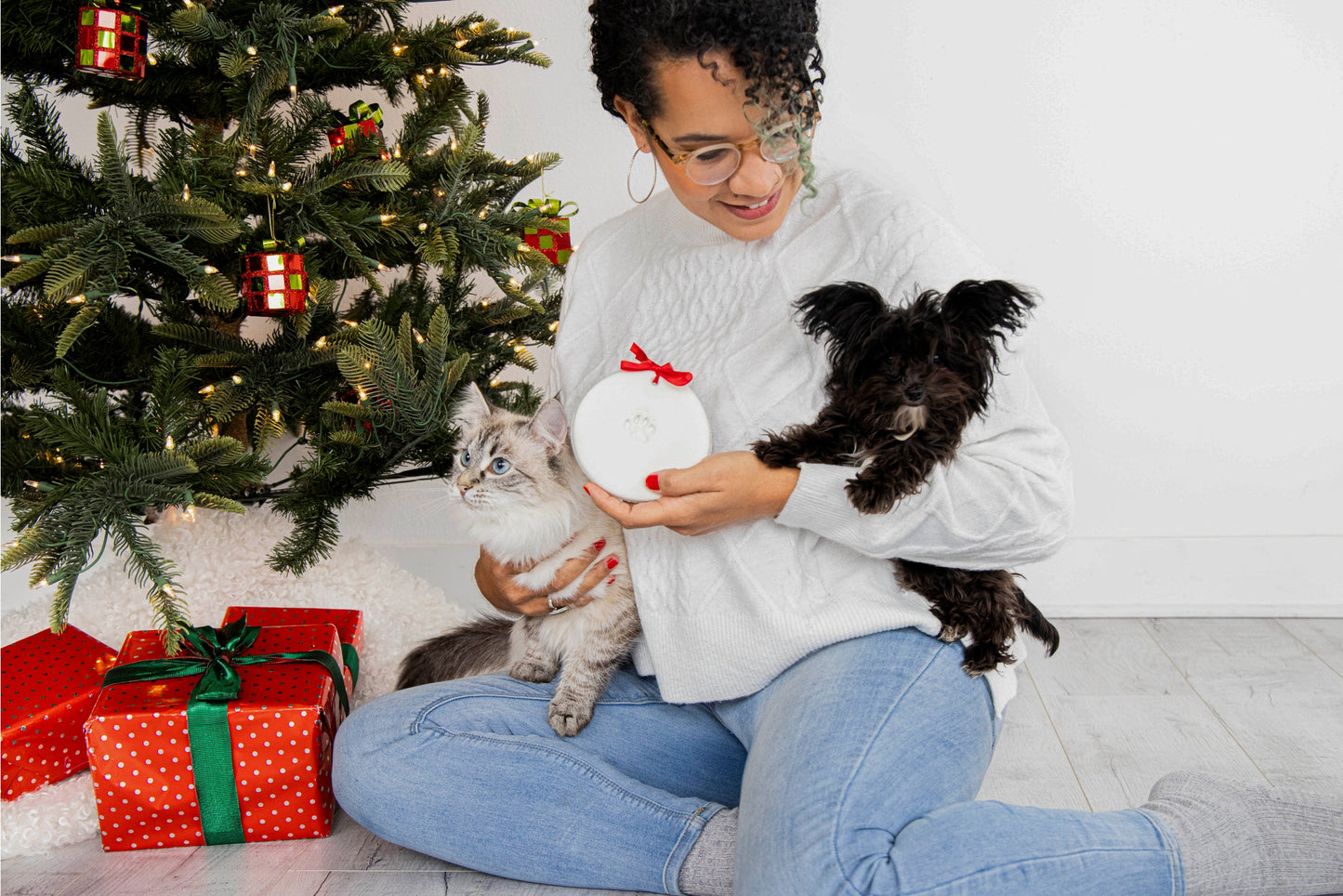 Holiday Pawprints Christmas Ornament Kit - 2 Pack