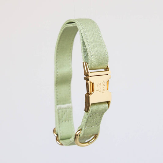 Furlou Cotton Canvas Dog Collar - Sage Green