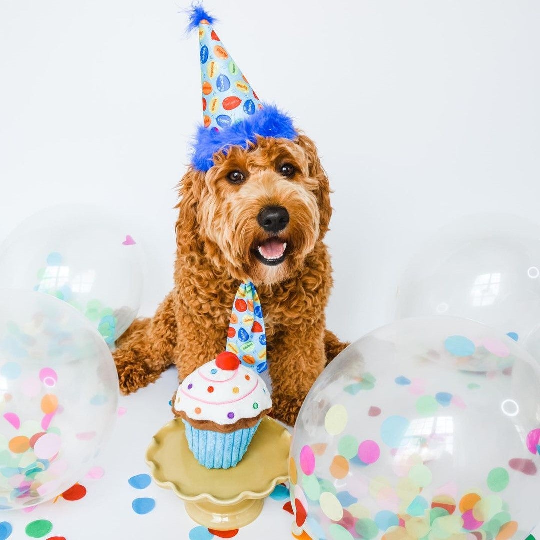 Blue Party Time Hat With Snugfit