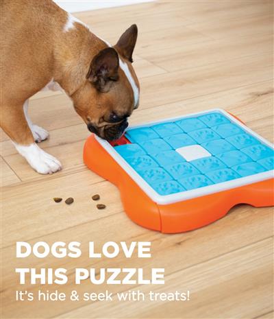 Nina Ottosson Challenge Slider Interactive Treat Dog Puzzle - Level 3