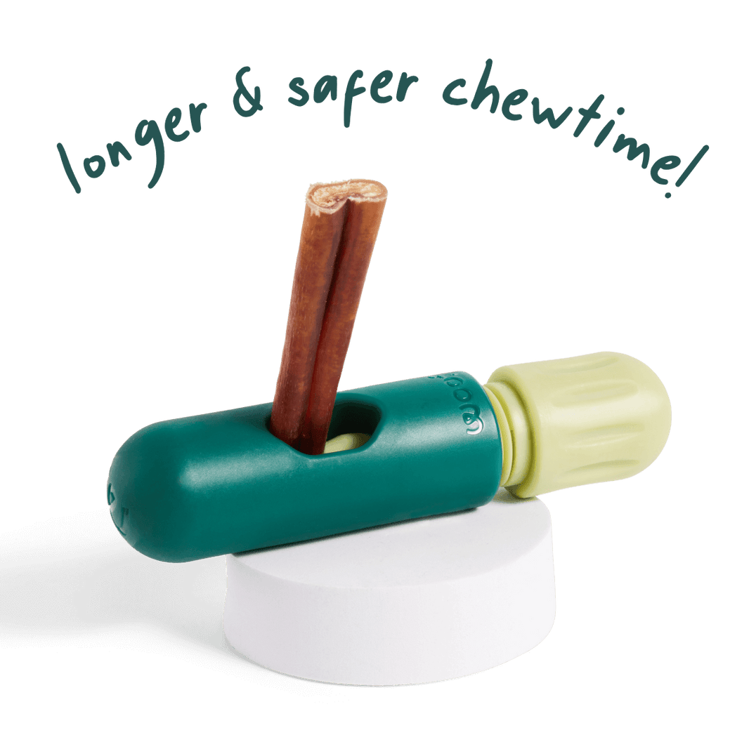 Woof BullySafe Dog Chew Holder