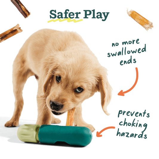 Woof BullySafe Dog Chew Holder
