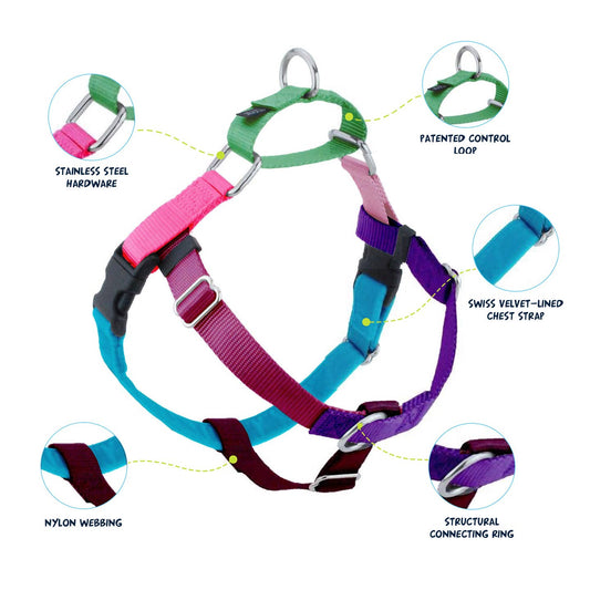 2 Hounds Design Jellybean Sugar Freedom No-Pull Dog Harness