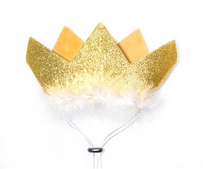 Pet Party Crown - Gold