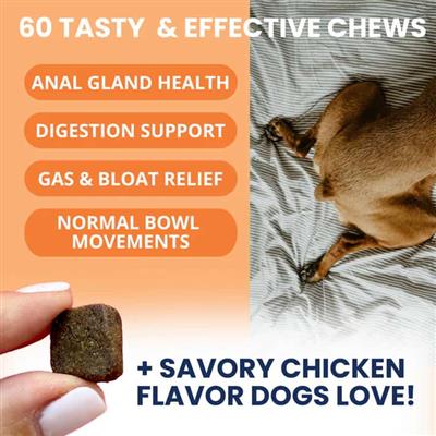Under the Weather Scoot Stop Soft Chew 60ct