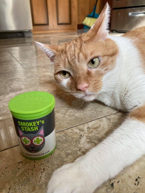 Smokey's Stash Organic Catnip Og Puss Pop Top