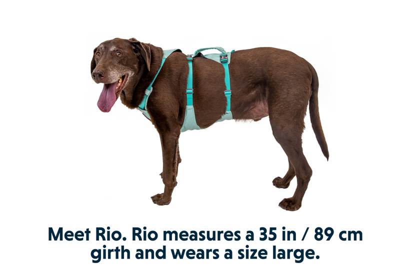 Ruffwear Flagline Sage Green Dog Harness