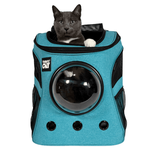 "The Fat Cat" Backpack for Larger Cats - Aqua