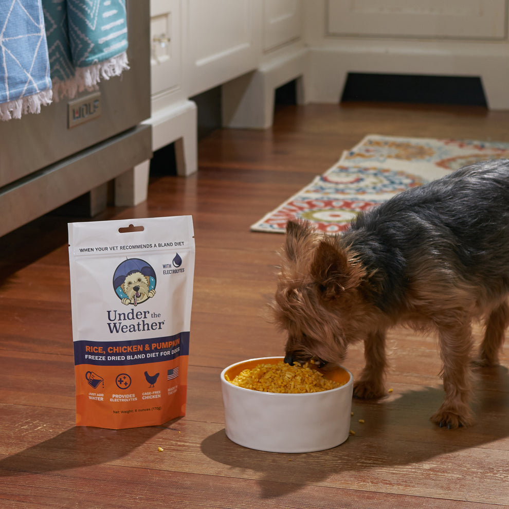 Under The Weather Chicken, Rice, & Pumpkin Bland Diet For Dogs