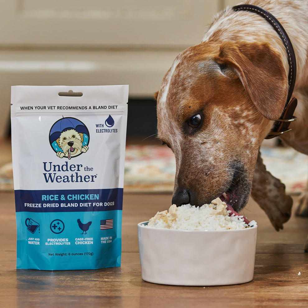 Under The Weather Chicken & Rice Bland Diet For Dogs