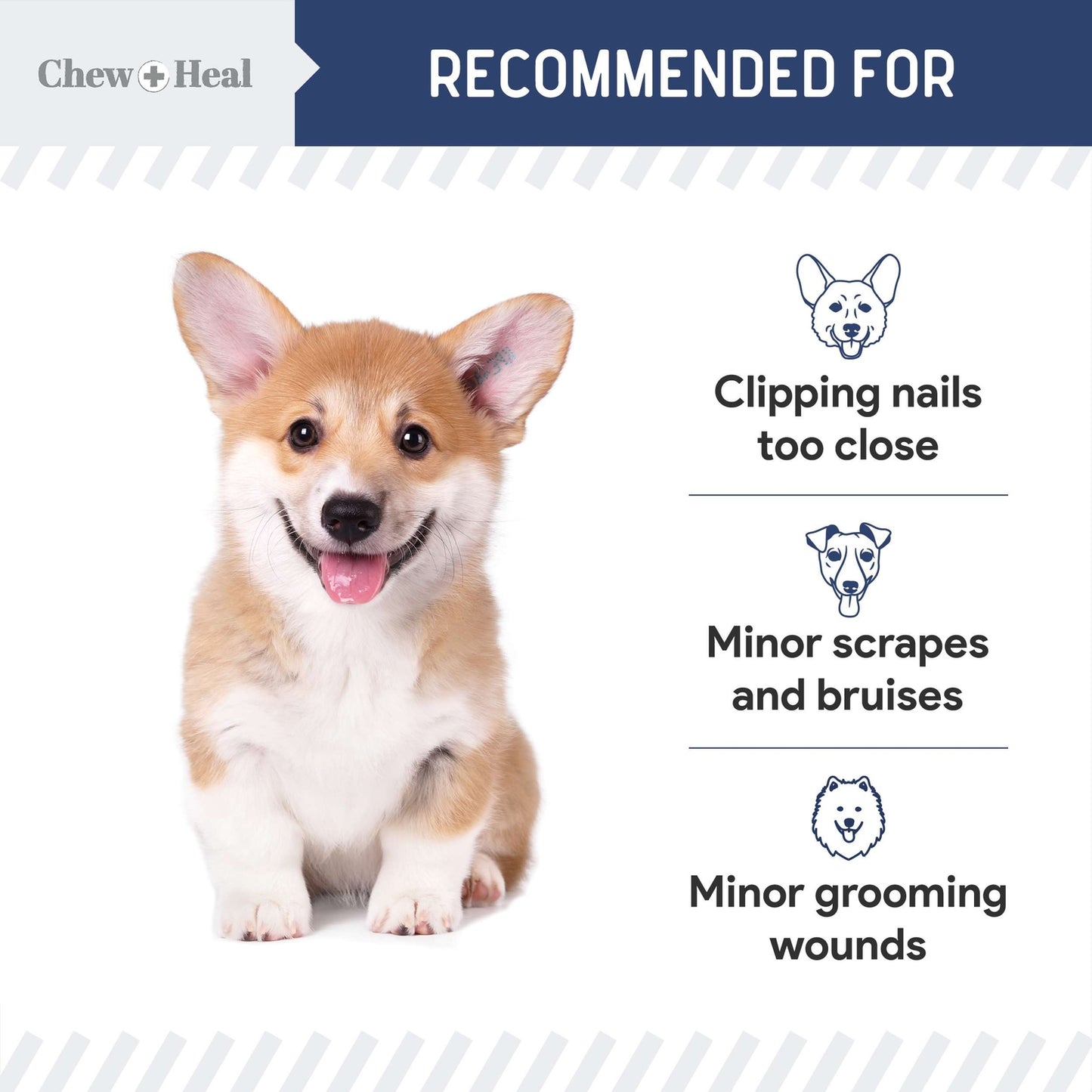 Chew + Heal Styptic Powder For Dogs, Cats, and Birds