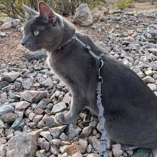 "The Day Tripper" Adjustable H-Style Cat Harness & Leash - Checkered