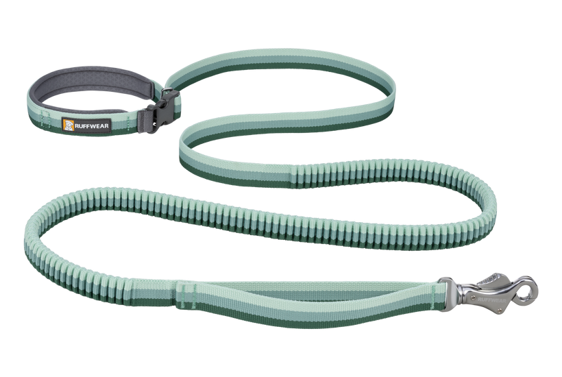 Leashes & Leash Accessories