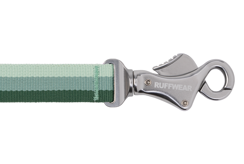 Ruffwear Roamer Bungee Leash