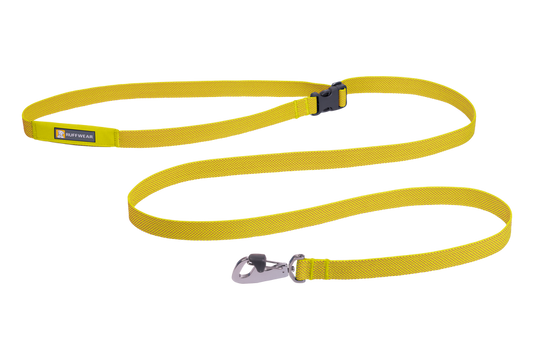 Lichen Green Flagline Dog Leash