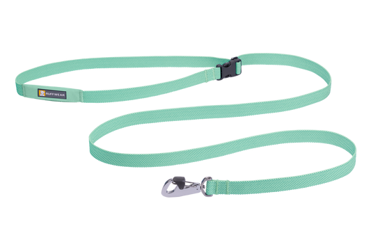 Sage Green Flagline Dog Leash
