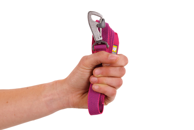 Alpenglow Pink Flagline Dog Leash
