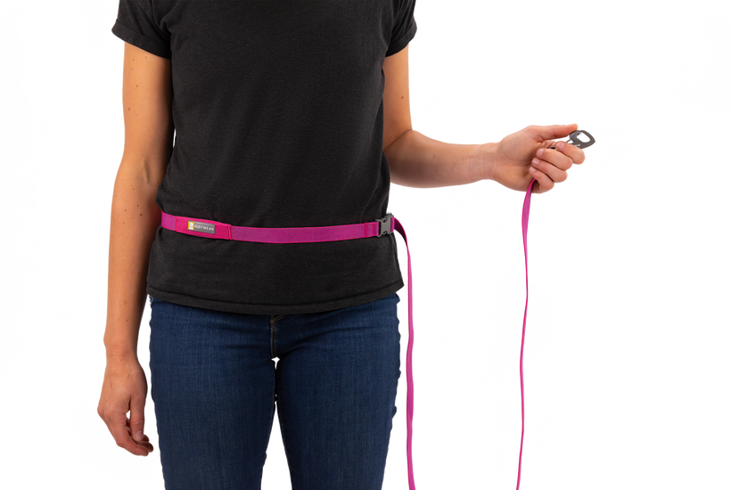 Alpenglow Pink Flagline Dog Leash